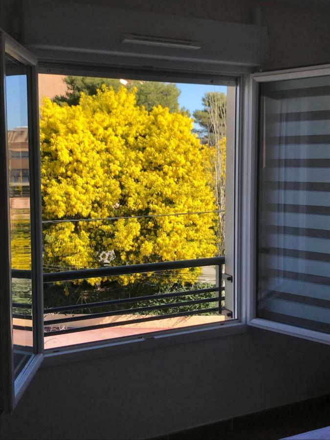 Appart' Au Port Apartment Fréjus Екстериор снимка